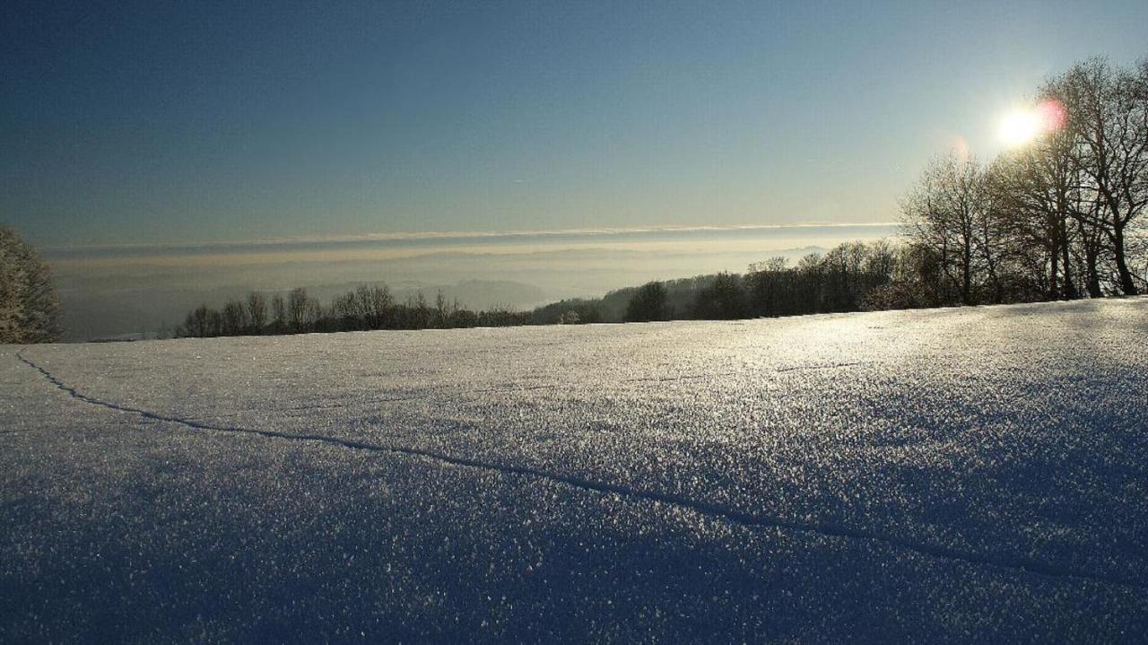 Ferienwohnungen Bauer - Auszeit Mit Ausblick Zenting Exterior foto